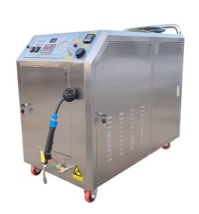 About Steam Cleaning Machine