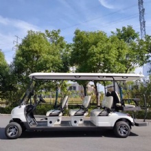 48V 5kw Luxury 8-Seater Multi-Functional Electric Golf Cart