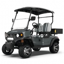 CE Certified Customized 2-Seater Cheap and Durable Electric Golf Cart