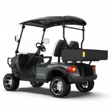 CE Certified Customized 2-Seater Cheap and Durable Electric Golf Cart