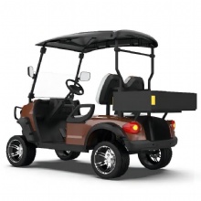 CE Certified Customized 2-Seater Cheap and Durable Electric Golf Cart