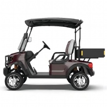 CE Certified Customized 2-Seater Cheap and Durable Electric Golf Cart