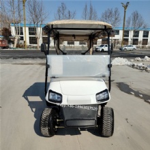 Specially customized golf cart with on-board ball washer and stem washer with refrigerator 2-seat electric golf cart