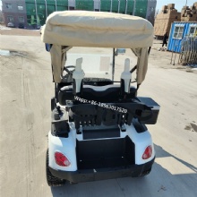 Specially customized golf cart with on-board ball washer and stem washer with refrigerator 2-seat electric golf cart