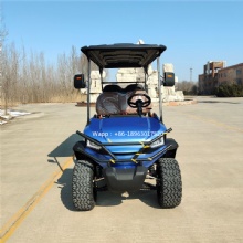 Newly designed professionally customized adjustable 6-seat electric golf cart