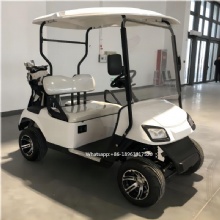 Customizable 2-Seater Latest Model Electric Golf Cart