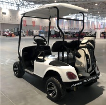 Customizable 2-Seater Latest Model Electric Golf Cart