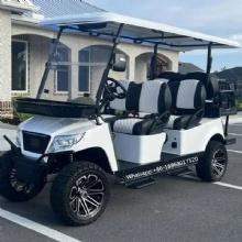 Super Luxury 48V 5kw Kds AC Motor and Aluminum Alloy Chassis Golf Cart